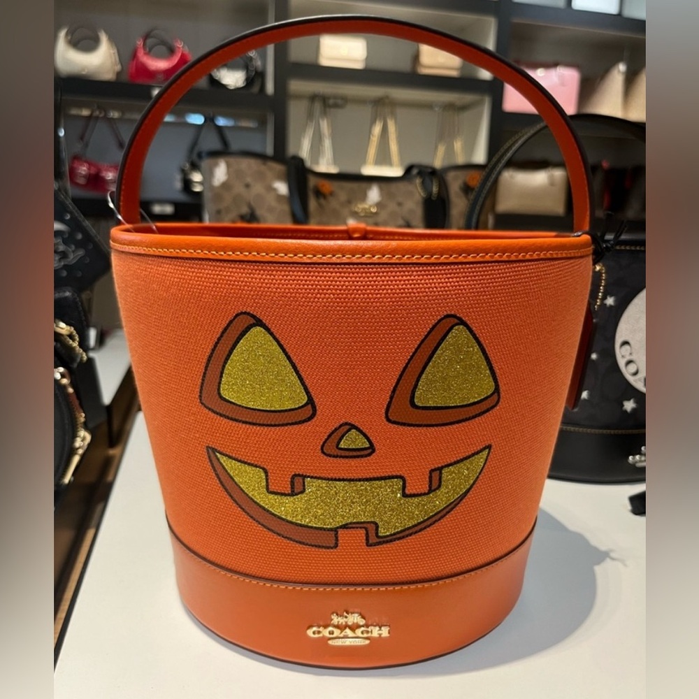 Last one! New Coach - Trick Or Treat Buckets With Halloween Pumpkin and cat - Picture 6 of 14